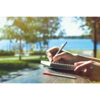 Feutre fin 89 Etui de 10 Assorti 0,3 mm