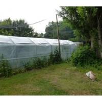 Serre tunnel de jardin 4 Saisons – Serres Tonneau