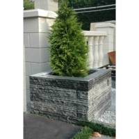 Bloc muret Pierre Bleue du Vietnam - 50x10x8cm - Gedimat