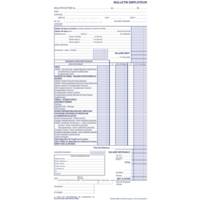 Manifold Bulletin de Salaire 310x150 mm Nouveau Tracé 50 Dupli Autocopiant