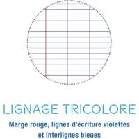 Cahier Protège-cahier Koverbook Piqué Polypro 24x32 cm 96p séyès Rouge Translucide - CLAIREFONTAINE