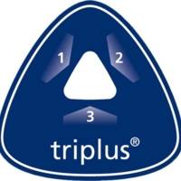 Feutre Fineliner Triplus Pointe Fine 0,3 mm Rouge