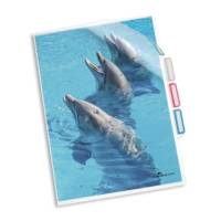 Sachet 5 Pochettes Coin d'organisation 3 Compartiments Transparent