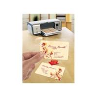 Pochette de 250 cartes de visite 85x54mm Quick&Clean laser mate 220g coins arrondis