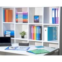 Protège-documents en polypropylène souple OPAK 20 vues - A4 - Vert foncé