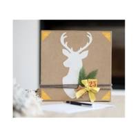 Cléocol Colle Extra Forte en 25 gr