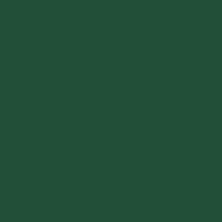 Tube 120ml Peinture Acrylique Décocrème Mat VERT CYPRES - PÉBÉO