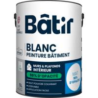 Peinture mur et plafond 98% opacite mat blanc - Gedimat - BATIR