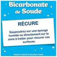 Bicarbonate de Soude Pot de 680 g