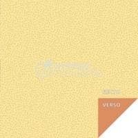 Paquet de 60 feuilles Origami 20x20 cm 70g (30 motifs x 2 feuilles) FURS - AVENUE MANDARINE