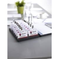 Boite de 25 portes-badge à pince 6x9 cm  + 32 inserts microperforés