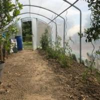 Serre tunnel de jardin 4 Saisons 3m00 x 7m50 – Serres Tonneau