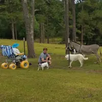 Fauteuil roulant tout-terrain plage F2A Fauteuil PMR T-T – Fun2Access