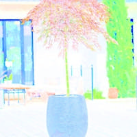 Pot EGG GRAPHIT - Ø50 x h.60 cm - Gedimat