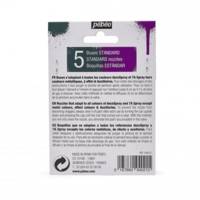 Sachet 5 Buses Basiques pour Spray Decospray/7A