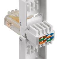Fiche RJ45 CAT 5e UTP Sans Outils AWG 24-26 Blanc