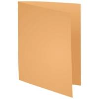 Paquet 100 chemises SUPER 210 24x32cm Coloris Bulle