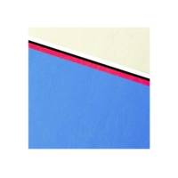 Paquet de 100 couvertures matière synthétique -  reliure A4 - Couleurs assorties