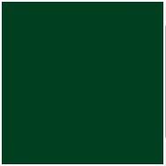 Peinture fer direct sur rouille HAMMERITE vert buisson brillant - Gedimat - AKZO NOBEL