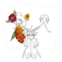 Carnet de coloriage Graffy nature trio - 12 Marionnettes à Doigts x 3 modèles