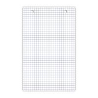 Bloc de 30 fiches bristol 125X200 perforées Q5/5 blanc