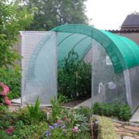 Ombrage pour serre de 3 m à 4 m de large - longueur 3,00 m - Serres Tonneau