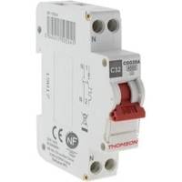 Disjoncteur à vis PH+N 2A coupure 4,5KA NF - Gedimat - THOMSON