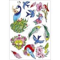 Tattoo' Mania, Oiseaux - Multicolore