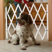Barrière de protection STOP FIX pour animaux bois brut - Gedimat - NORDLINGER