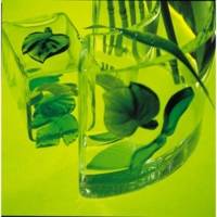 Gédéo Kit Résine Cristal 300 ML - PÉBÉO