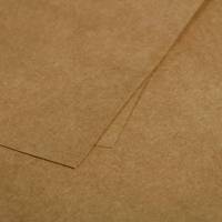 Paquet de 25 feuilles A4 Kraft 200g Pollen - CLAIREFONTAINE
