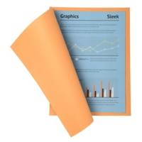 Paquet 100 chemises SUPER 210 24x32cm Coloris Bulle