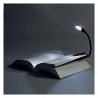 Mini Lampe Liseuse à Pince 2 Led Coloris Aléatoire Gris Bleu Rouge