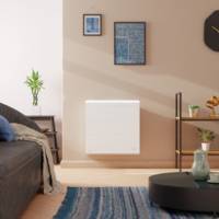Radiateur design double corps de chauffe Horizontal RADIASOFT 2 1000W - Gedimat - NOIROT