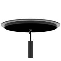 Lampadaire LED LEDDY 30w noir, variateur