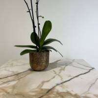 Plateau de table carré Marbre Calcuta & laiton - RestooTab