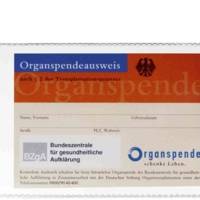 Etui Pochette de protection Polypro 54 x86mm Transparent