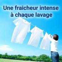 Lessive Poudre Universelle Total – 55 Lavages (3,025kg) – Linge Blanc et Couleurs