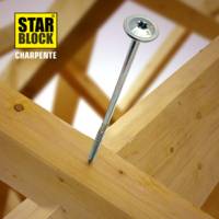 Vis charpente STARBLOCK acier zingué empreinte Torx 8 x 80 mm - Gedimat - NORAIL