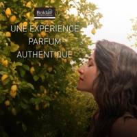 Désodorisant d'atmosphère 500 ml parfum Citron Professional