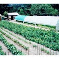 Serre Tunnel Professionnelle Flandre – Serres Tonneau