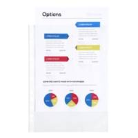 Sachet de 100 pochettes perforées polypropylène lisse 6/100e A4 Cristal