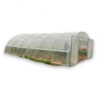 Serre Tunnel Professionnelle Normandie - 6m50 x 9m00