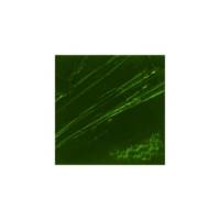 Peinture Huile Fine XL Studio 37 Ml Terre Verte - PÉBÉO