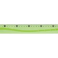 Règle plate Incassable Flex 15 cm Bleu ou Vert