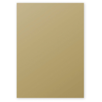 Etui de 50 Feuilles 210x297 mm 120g Or