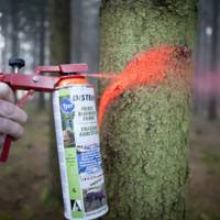 Peinture DISTEIN ERGONOM - bombe de 500 ml - Gedimat