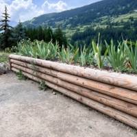 Rondin pin de Nord vert - Gedimat