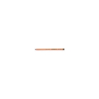 Crayon de couleur PITT PASTELL Van Dyke Brown (176) - Faber-Castell