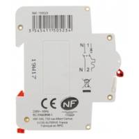 Disjoncteur à vis PH+N 2A coupure 4,5KA NF - Gedimat - THOMSON